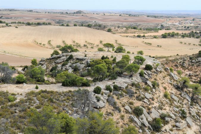 1. Cascarujo 2007