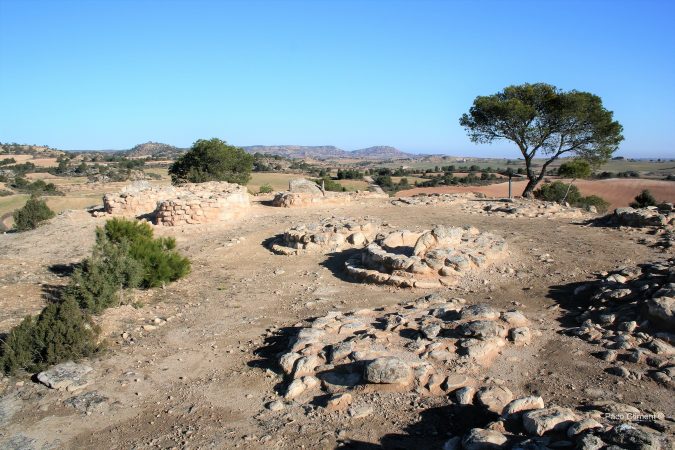 10. Cascarujo 2010