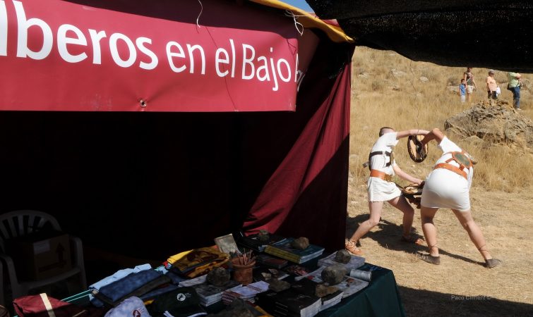 14. El Palao, 2011