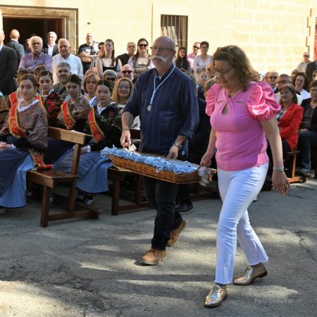 15. Día del Voto 2024