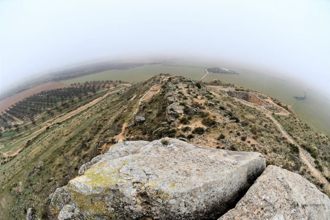 16. El Palao, 2019