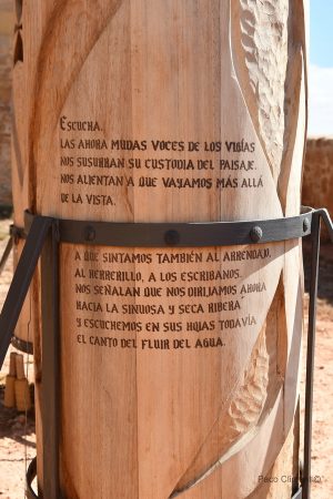 5. Vigías, 2024.