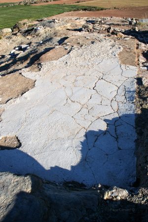 4. El Palao, 2006