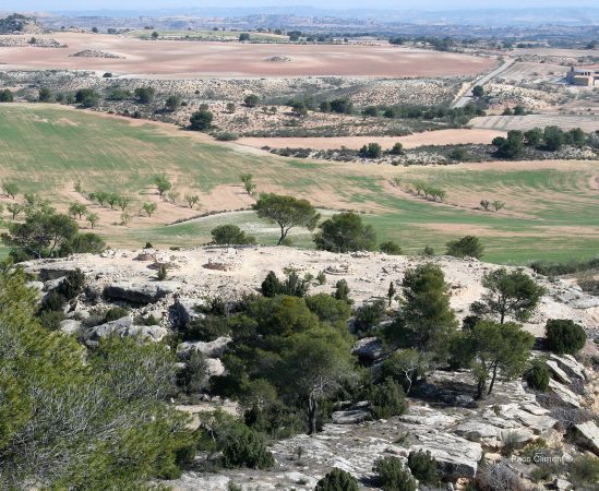 5. Cascarujo 2010