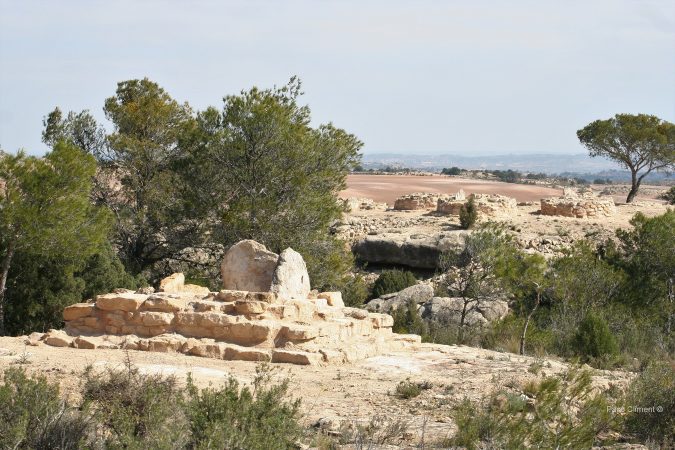 8. Cascarujo 2010