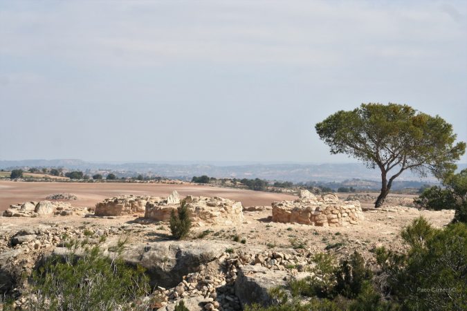 9. Cascarujo 2010