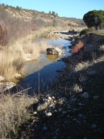 copia_de_dsc02166.jpg