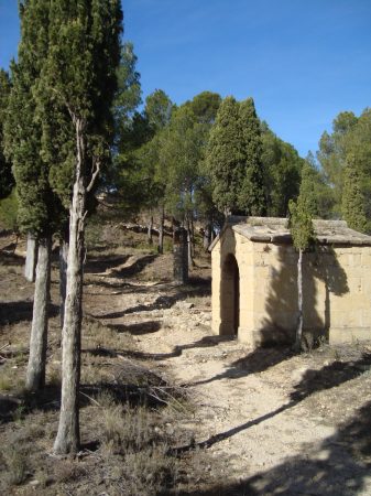 copia_de_dsc02336.jpg