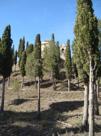copia_de_dsc02337.jpg