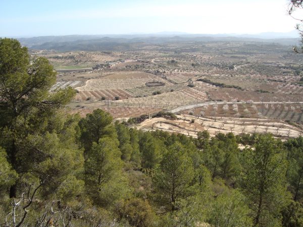 copia_de_dsc02341.jpg