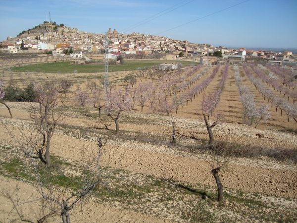 copia_de_dsc02366.jpg