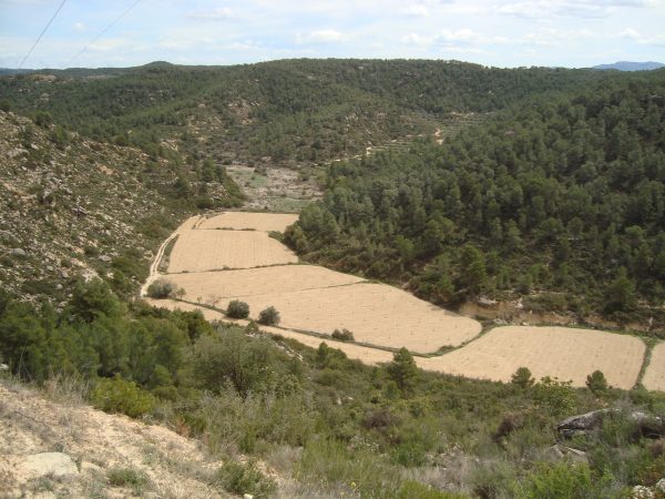 copia_de_dsc03382.jpg
