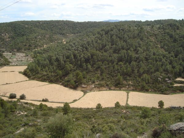 copia_de_dsc03384.jpg