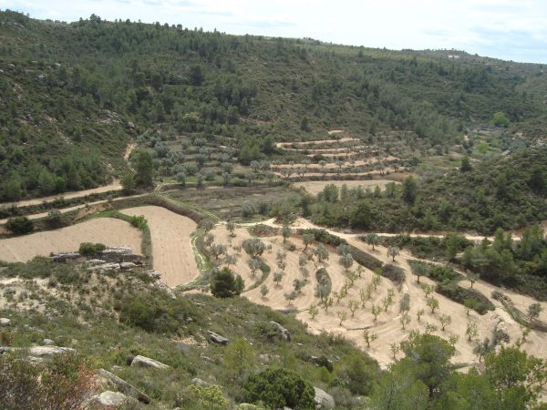 copia_de_dsc03385.jpg