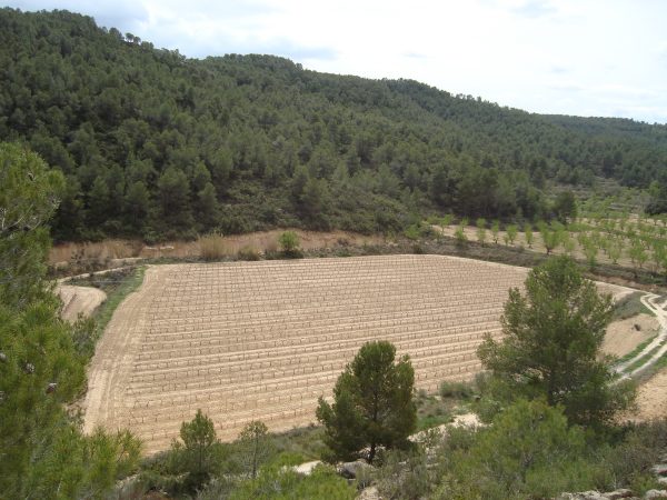 copia_de_dsc03387.jpg
