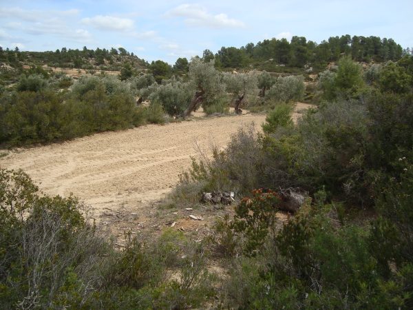 copia_de_dsc03402.jpg