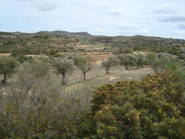 copia_de_dsc03403.jpg