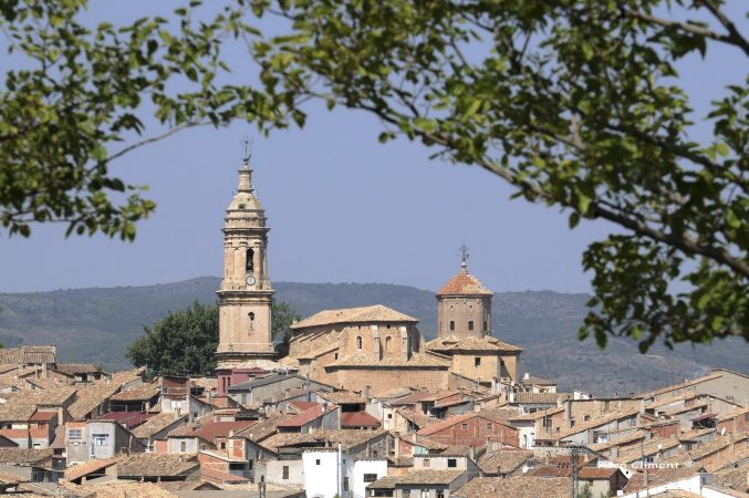 8. Vista desde la ermita de San Gregorio, 2009