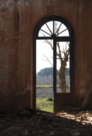 5. Antigua estación de Puigmoreno, 2015.