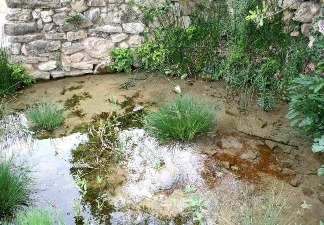 5. Ermita y pozo de San Valero, 2008.